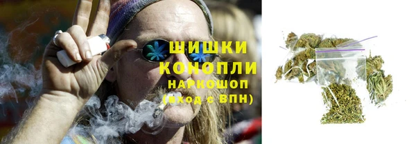 шишки Балахна