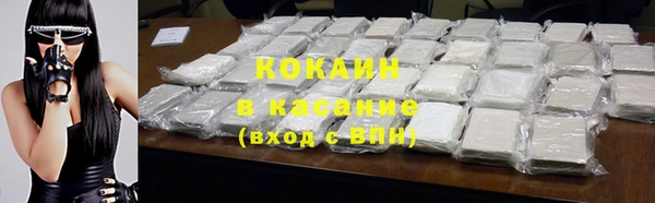 шишки Балахна